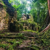Archaeology Tours