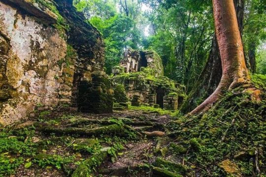 New Year’s Day long weekend in Palenque