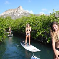 Eco Tours