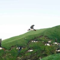 Cruises, Sailing & Water Tours