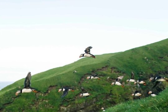 New Year’s Day long weekend in Faroe Islands