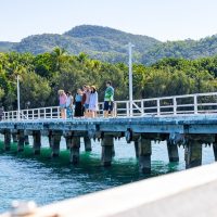 Bus & Minivan Tours
