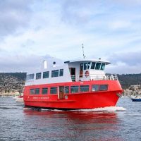 Day Cruises