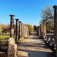Day Trips & Excursions