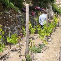 Holiday & Seasonal Tours