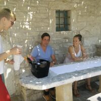 Wine Tasting & Winery Tours