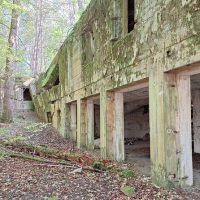Audio Guided Tours