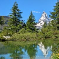 Private Sightseeing Tours