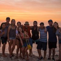 Beer & Brewery Tours