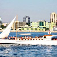 Day Cruises