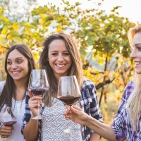 Wine Tasting & Winery Tours
