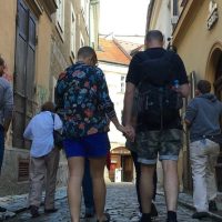 Luxury Tours