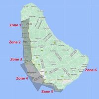 Bus Services