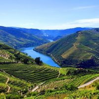 Cruises, Sailing & Water Tours