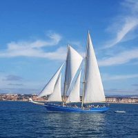 Day Cruises