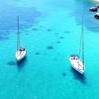 Cruises, Sailing & Water Tours