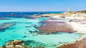 Chill Rottnest trip