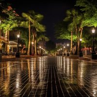 Ghost & Vampire Tours
