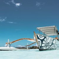 Shore Excursions