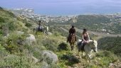 Enjoyable Horseback riding experience