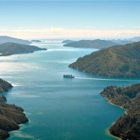 Ferry Services