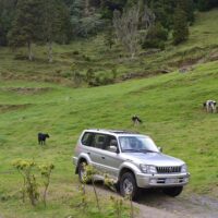 4WD, ATV & Off-Road Tours