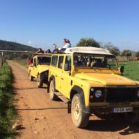 4WD, ATV & Off-Road Tours