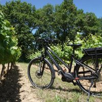 Wine Tasting & Winery Tours