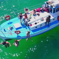 Cultural & Theme Tours