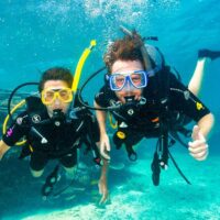 Private & Custom Tours