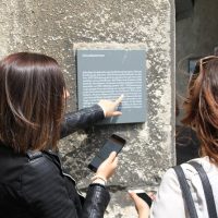 Tours & Sightseeing