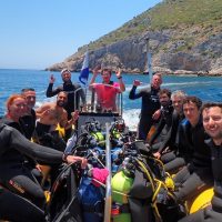 Shore Excursions