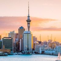 Street Food Tours