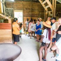 Chocolate Tours