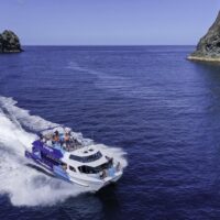 Day Trips & Excursions