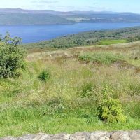 Sustainable Tours