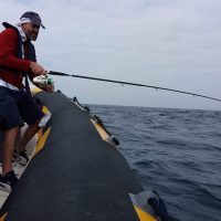 Fishing Charters & Tours