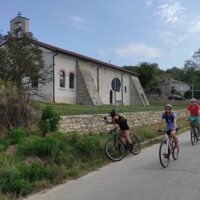 Private & Custom Tours