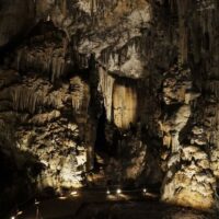 Cultural Tours