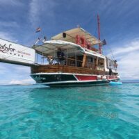 Luxury Tours