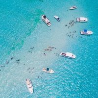 Waterskiing & Jetskiing