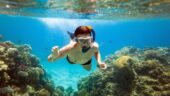 Terrific snorkeling adventure on the bay.