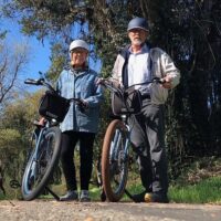 Bike Rentals