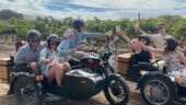 Great Vineyard Tour