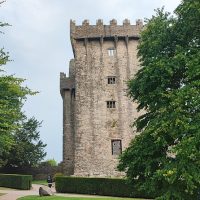 Private Sightseeing Tours