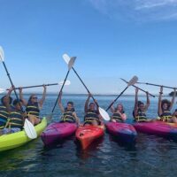 Boat Rentals