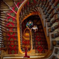 Cruises, Sailing & Water Tours