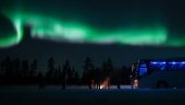 Northern lights tour - 100/10 recommend!