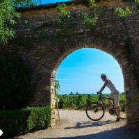 Multi-day Tours