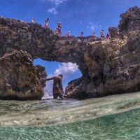 Full-day Tours
